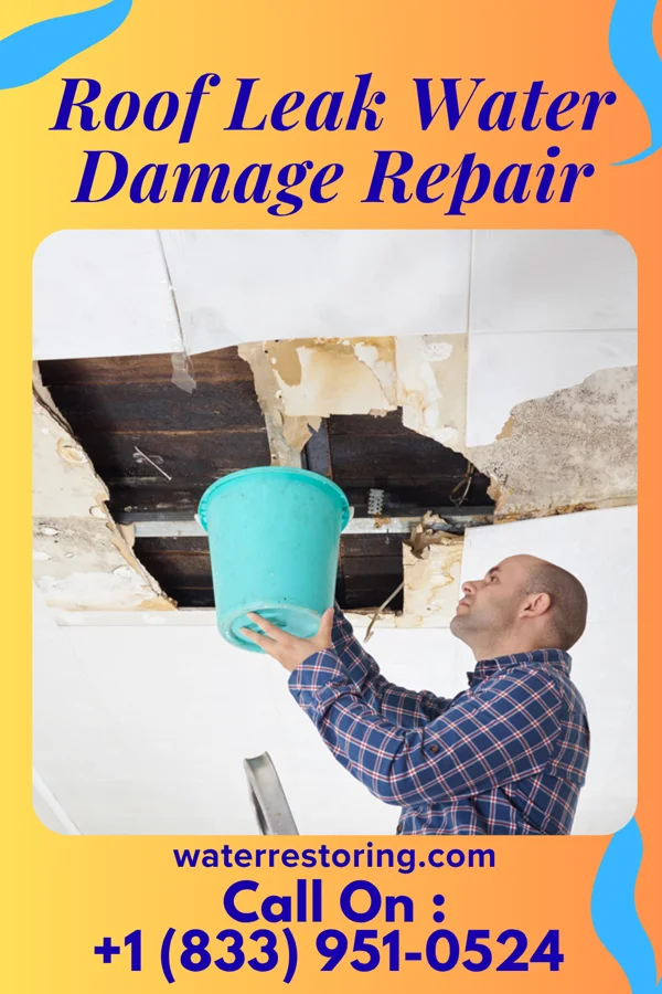 Roof Leak Water Damage Repair in North Light Plant, NM